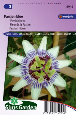 Passiflora caerulea (blauwe passiebloem) 55 zaden SL